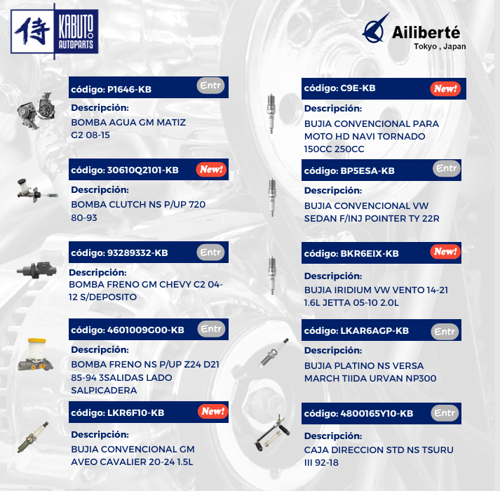 Boletín Nuevos Kabuto