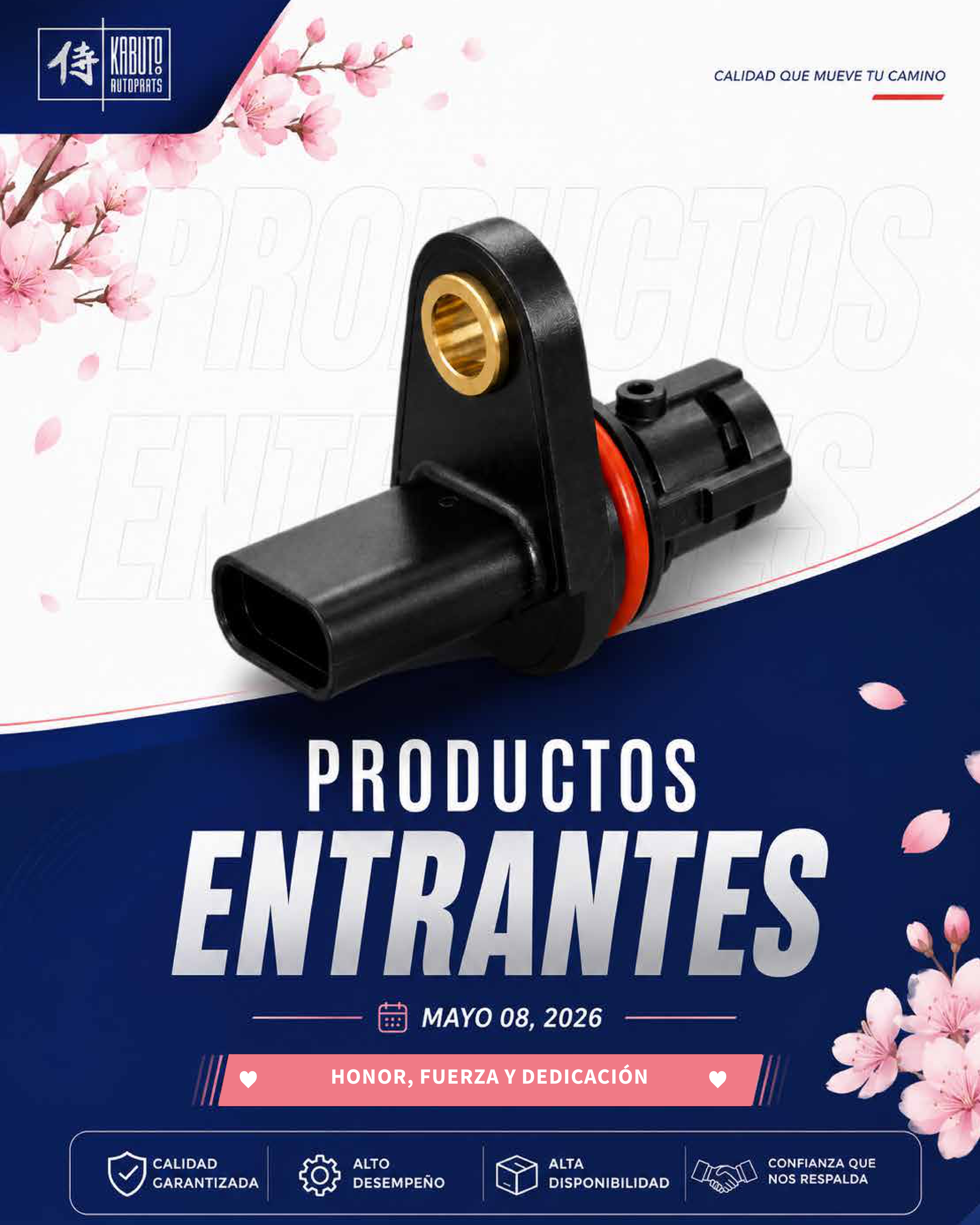 Boletín Nuevos Kabuto